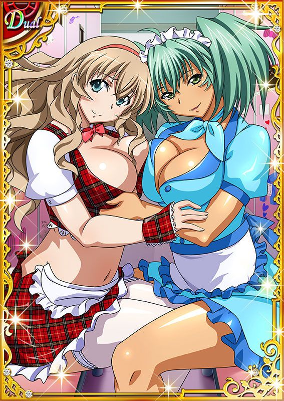 Ikkitousen Cards Coleccyion  Ryofu Housen set 266