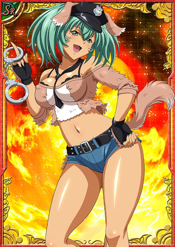 Ikkitousen Cards Coleccyion  Ryofu Housen set 268