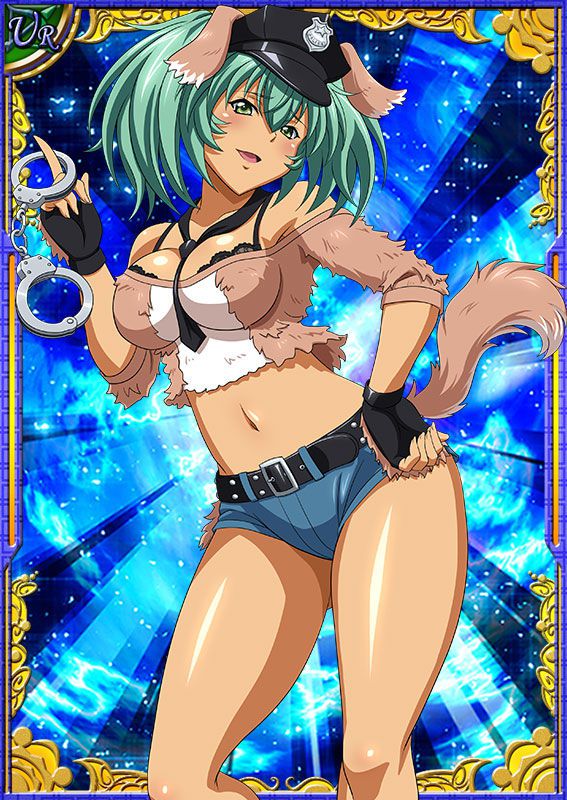 Ikkitousen Cards Coleccyion  Ryofu Housen set 269