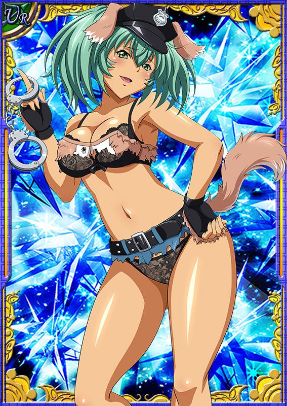 Ikkitousen Cards Coleccyion  Ryofu Housen set 270