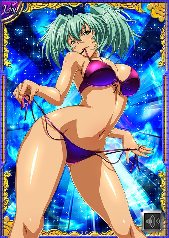 Ikkitousen Cards Coleccyion  Ryofu Housen set 271