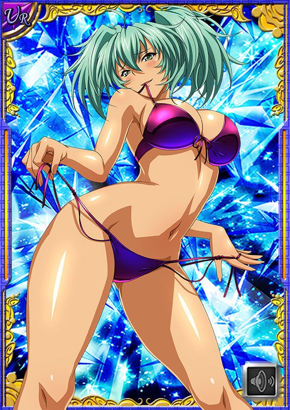 Ikkitousen Cards Coleccyion  Ryofu Housen set 272