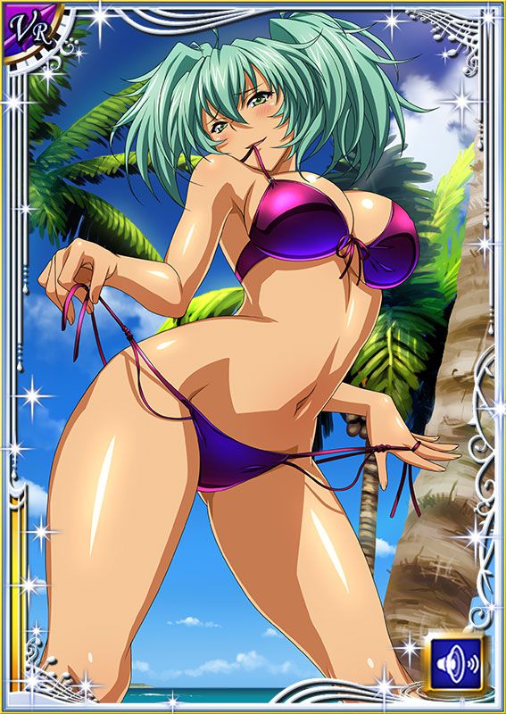 Ikkitousen Cards Coleccyion  Ryofu Housen set 273