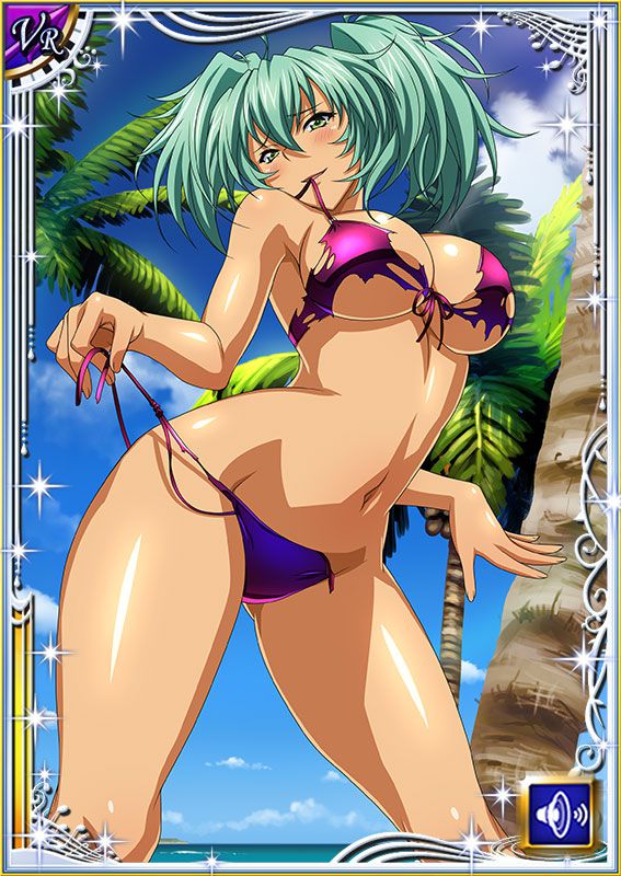 Ikkitousen Cards Coleccyion  Ryofu Housen set 274