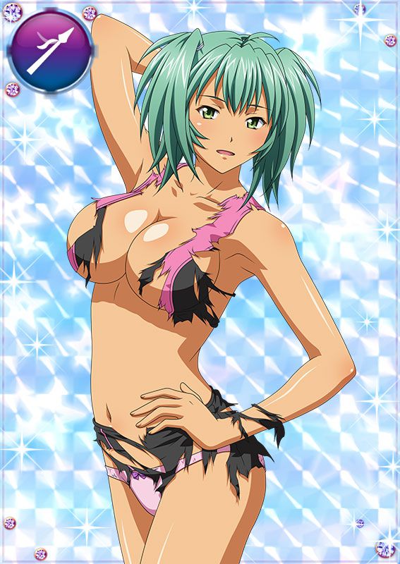 Ikkitousen Cards Coleccyion  Ryofu Housen set 275