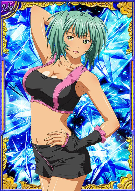 Ikkitousen Cards Coleccyion  Ryofu Housen set 277