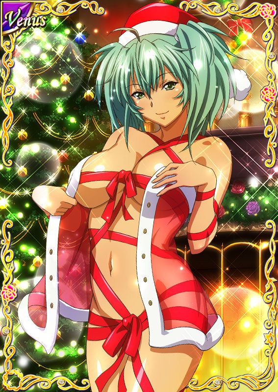 Ikkitousen Cards Coleccyion  Ryofu Housen set 281