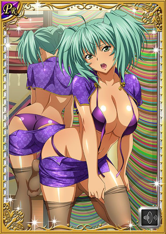 Ikkitousen Cards Coleccyion  Ryofu Housen set 285