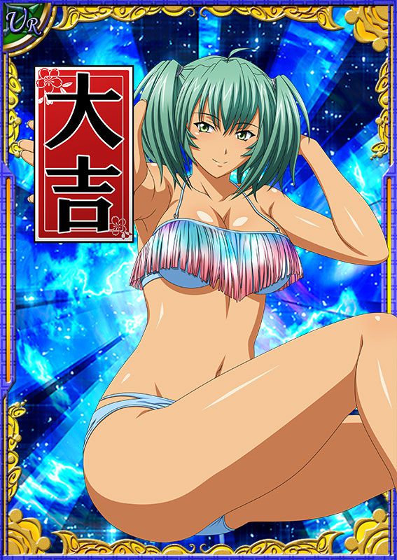 Ikkitousen Cards Coleccyion  Ryofu Housen set 290