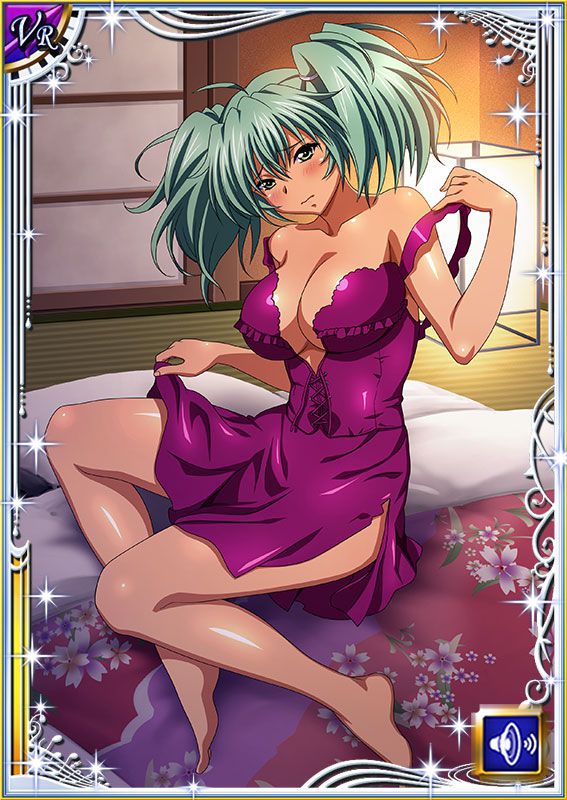 Ikkitousen Cards Coleccyion  Ryofu Housen set 293