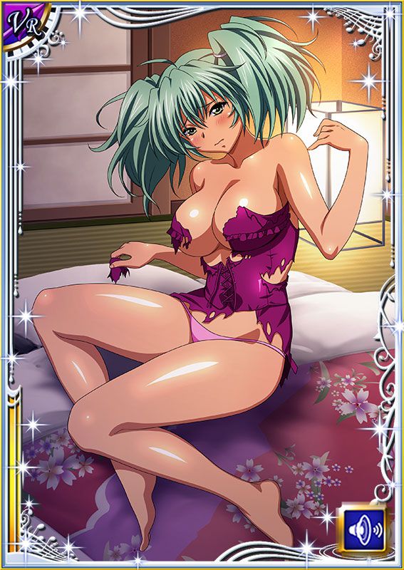 Ikkitousen Cards Coleccyion  Ryofu Housen set 294