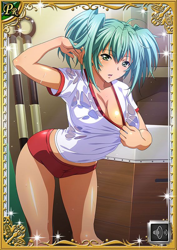 Ikkitousen Cards Coleccyion  Ryofu Housen set 295