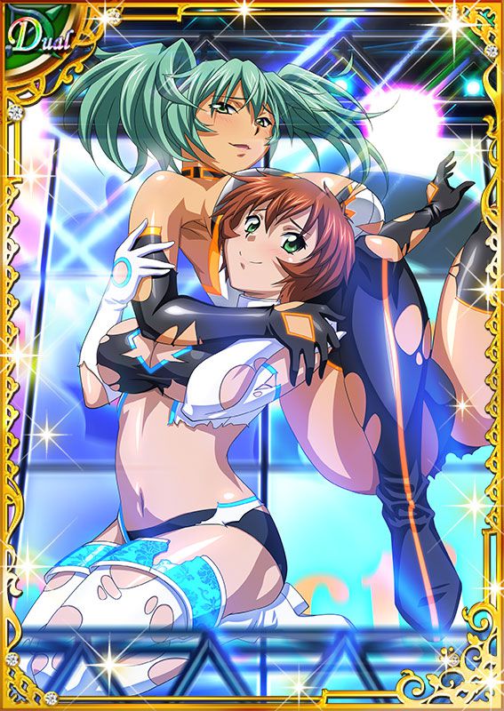 Ikkitousen Cards Coleccyion  Ryofu Housen set 30