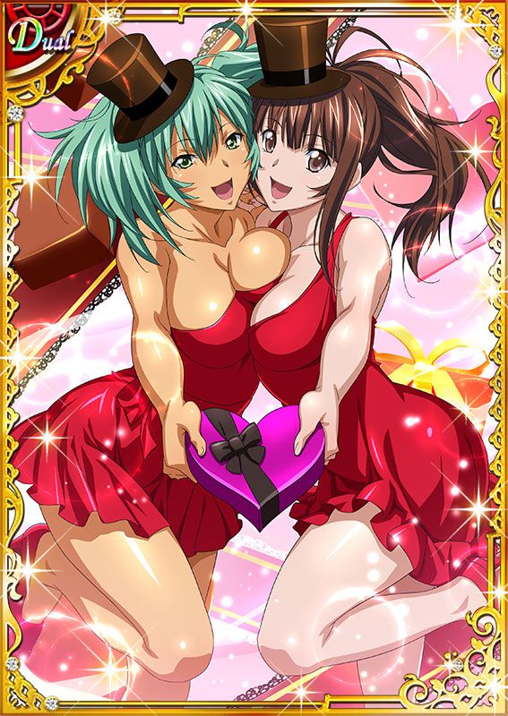 Ikkitousen Cards Coleccyion  Ryofu Housen set 301