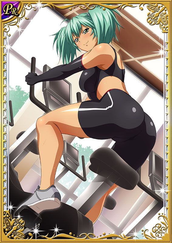 Ikkitousen Cards Coleccyion  Ryofu Housen set 303