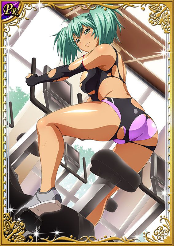 Ikkitousen Cards Coleccyion  Ryofu Housen set 304