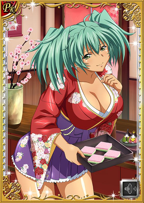 Ikkitousen Cards Coleccyion  Ryofu Housen set 306