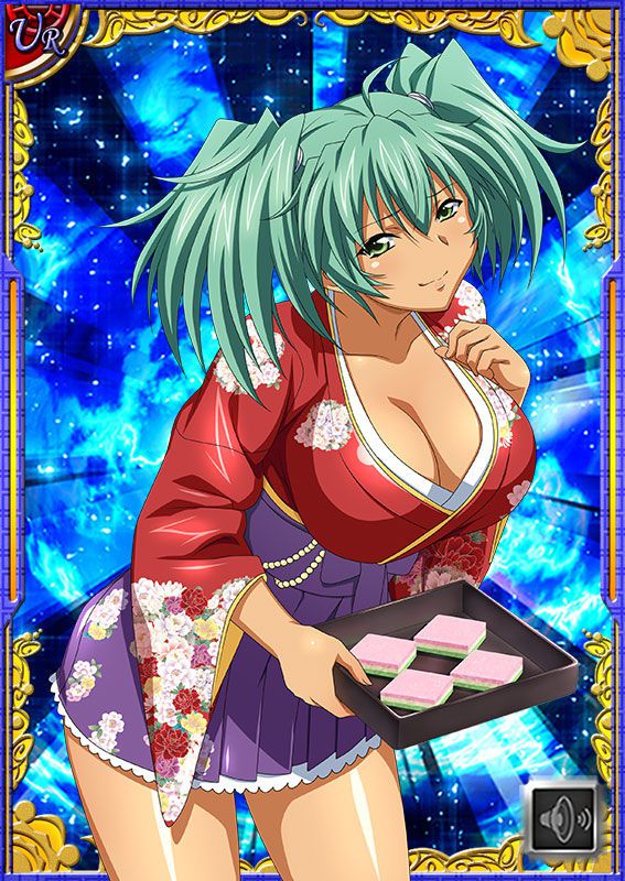 Ikkitousen Cards Coleccyion  Ryofu Housen set 307