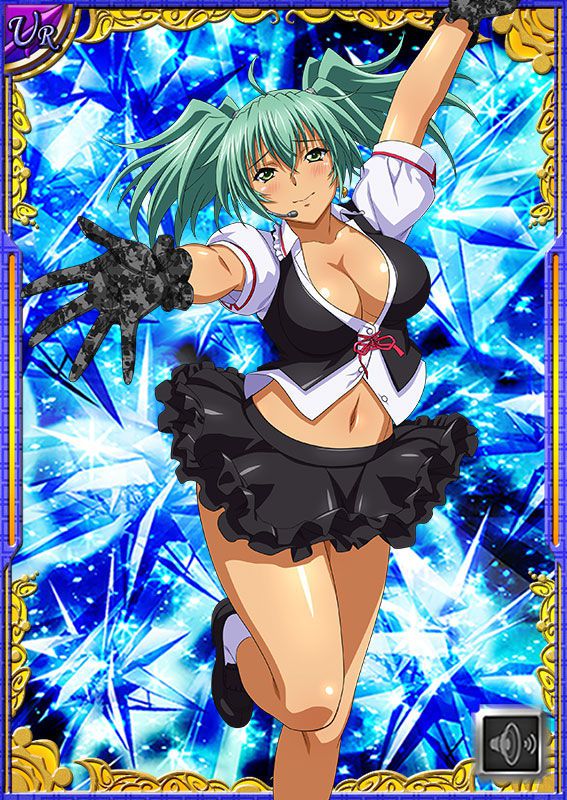 Ikkitousen Cards Coleccyion  Ryofu Housen set 310