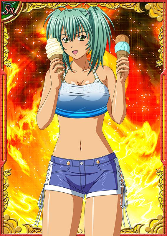 Ikkitousen Cards Coleccyion  Ryofu Housen set 313