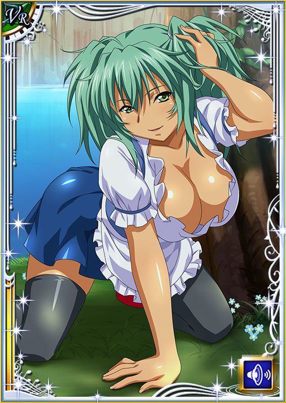 Ikkitousen Cards Coleccyion  Ryofu Housen set 316