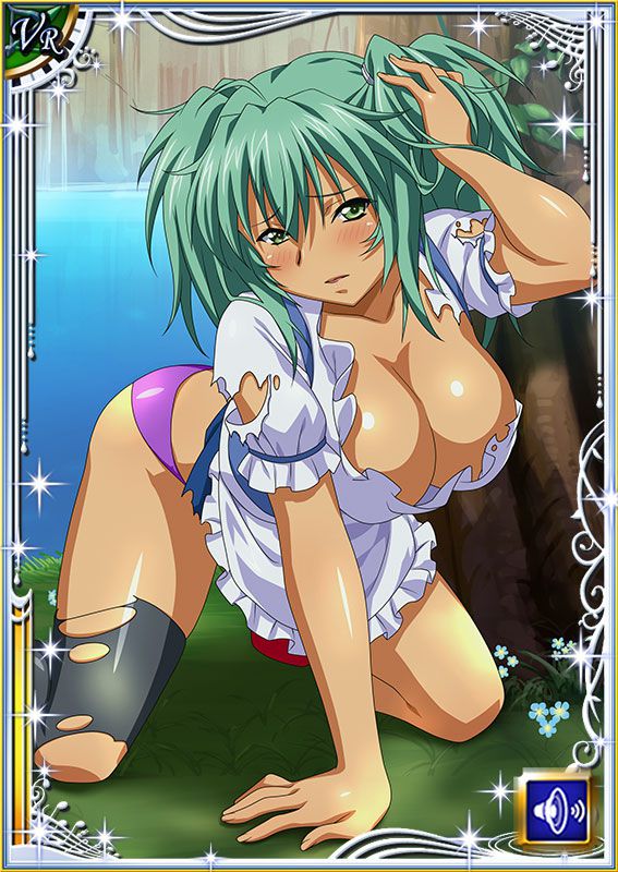 Ikkitousen Cards Coleccyion  Ryofu Housen set 317