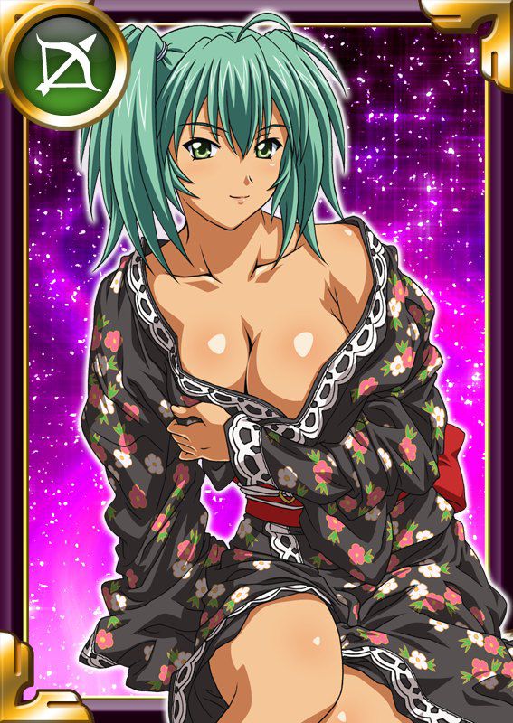 Ikkitousen Cards Coleccyion  Ryofu Housen set 318