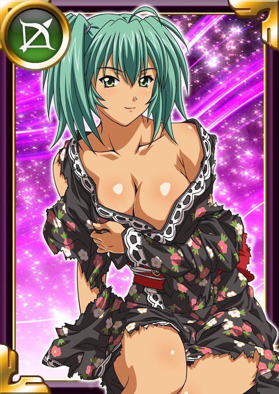 Ikkitousen Cards Coleccyion  Ryofu Housen set 319