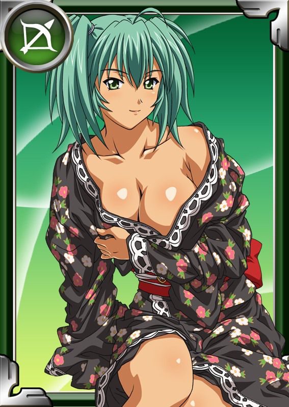 Ikkitousen Cards Coleccyion  Ryofu Housen set 321