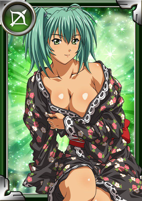 Ikkitousen Cards Coleccyion  Ryofu Housen set 322