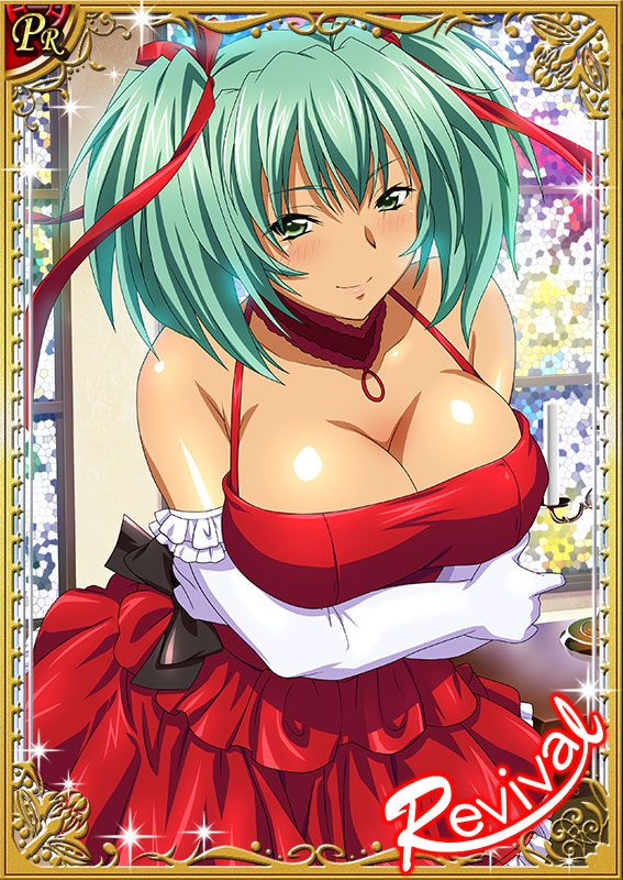 Ikkitousen Cards Coleccyion  Ryofu Housen set 324