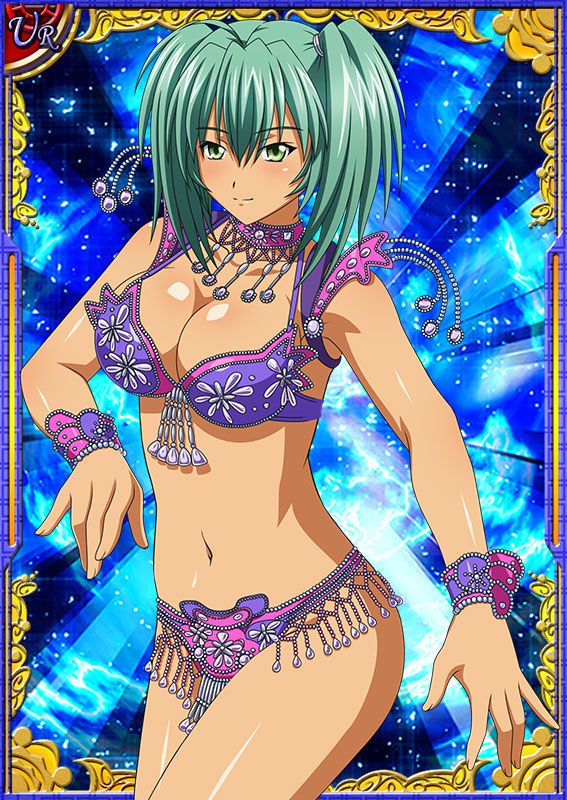 Ikkitousen Cards Coleccyion  Ryofu Housen set 330