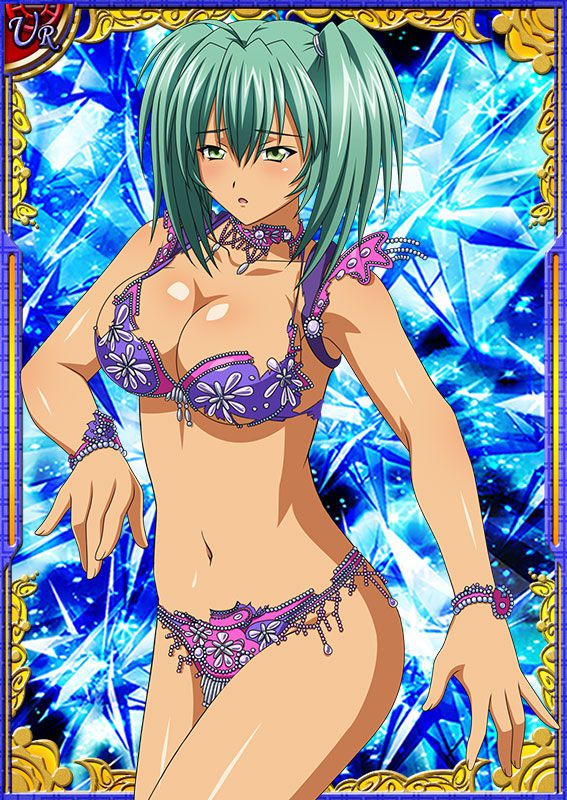 Ikkitousen Cards Coleccyion  Ryofu Housen set 331