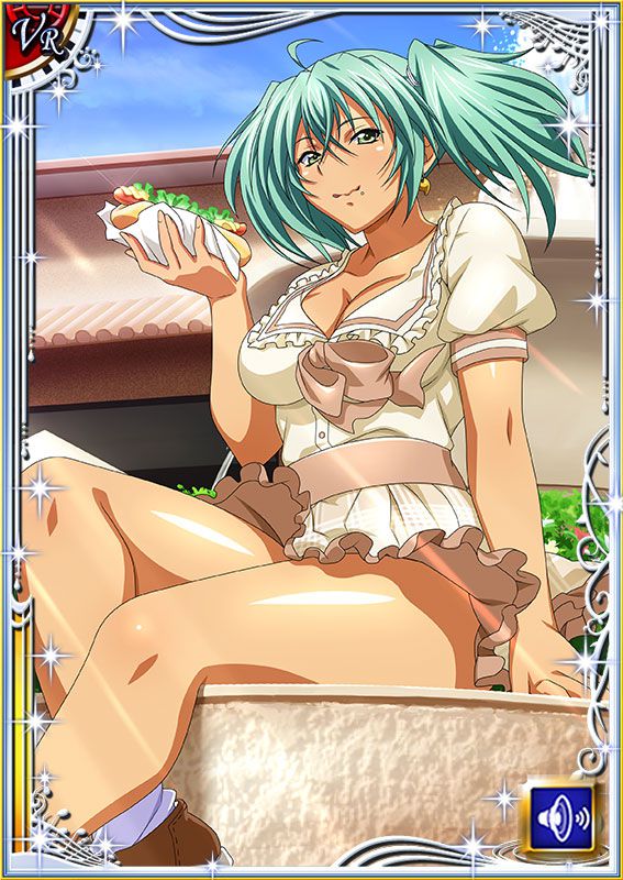 Ikkitousen Cards Coleccyion  Ryofu Housen set 332