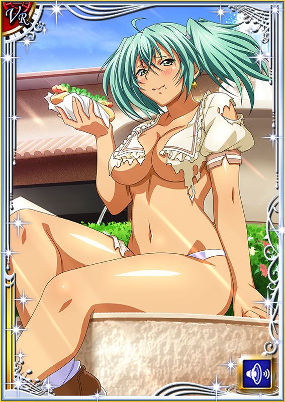 Ikkitousen Cards Coleccyion  Ryofu Housen set 333