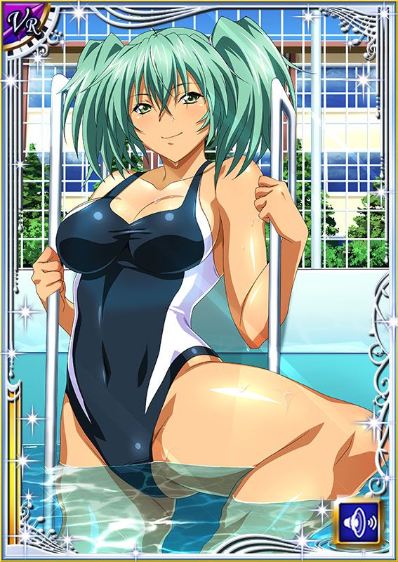 Ikkitousen Cards Coleccyion  Ryofu Housen set 334