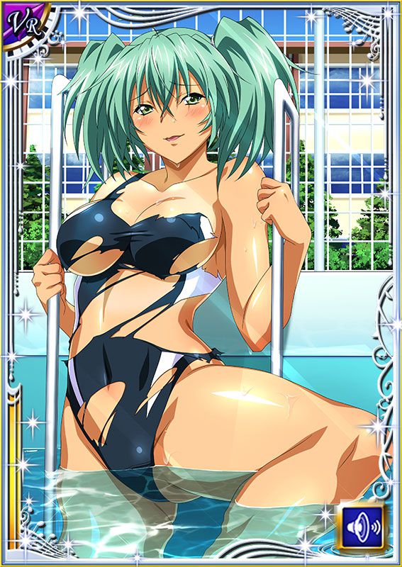 Ikkitousen Cards Coleccyion  Ryofu Housen set 335