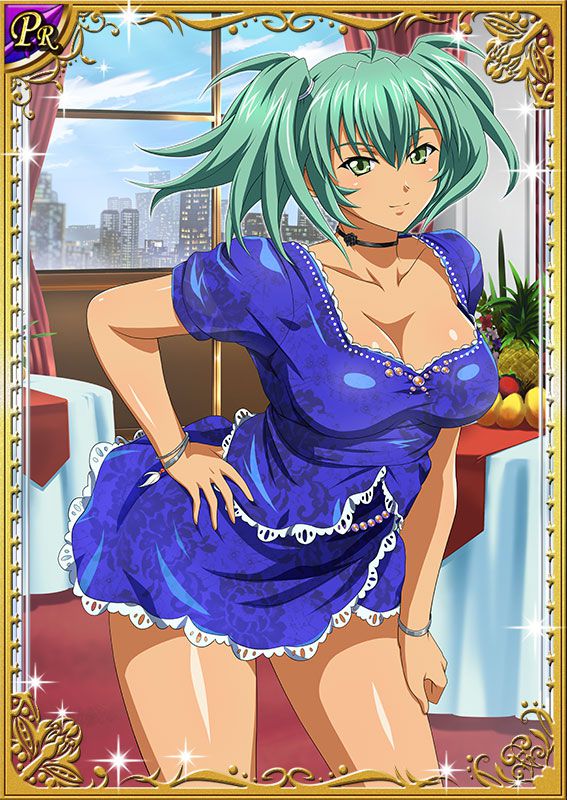 Ikkitousen Cards Coleccyion  Ryofu Housen set 338