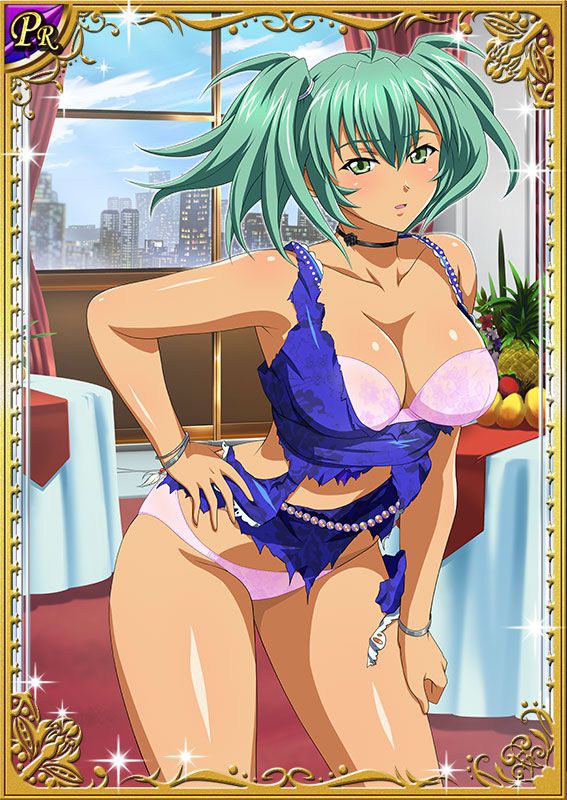 Ikkitousen Cards Coleccyion  Ryofu Housen set 339