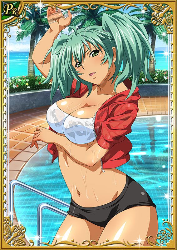 Ikkitousen Cards Coleccyion  Ryofu Housen set 34