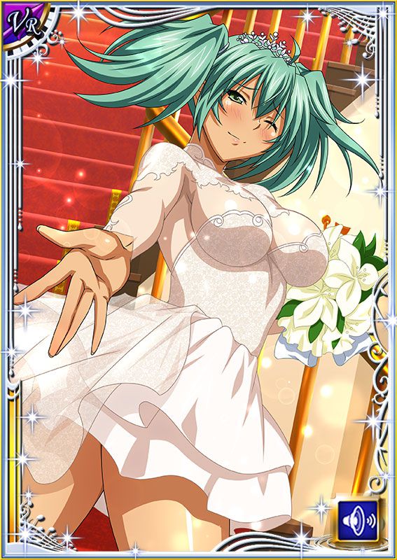 Ikkitousen Cards Coleccyion  Ryofu Housen set 342