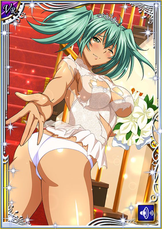 Ikkitousen Cards Coleccyion  Ryofu Housen set 343