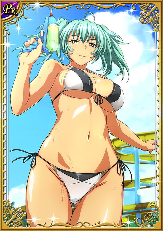 Ikkitousen Cards Coleccyion  Ryofu Housen set 344