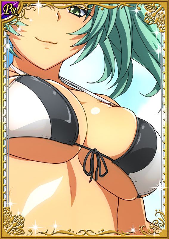 Ikkitousen Cards Coleccyion  Ryofu Housen set 346