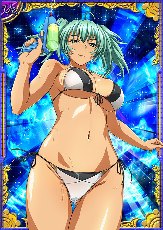 Ikkitousen Cards Coleccyion  Ryofu Housen set 347