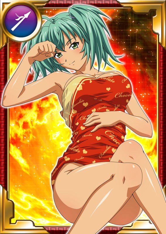 Ikkitousen Cards Coleccyion  Ryofu Housen set 348