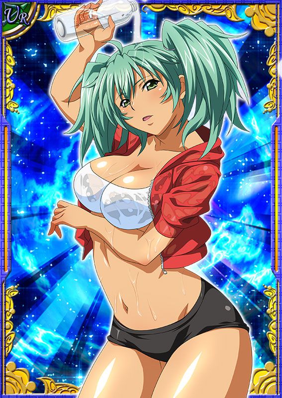 Ikkitousen Cards Coleccyion  Ryofu Housen set 35