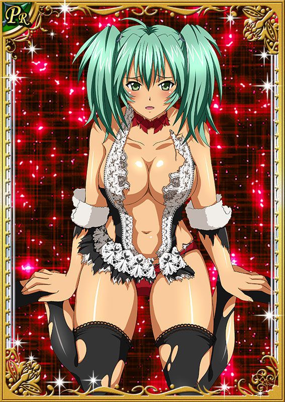 Ikkitousen Cards Coleccyion  Ryofu Housen set 350