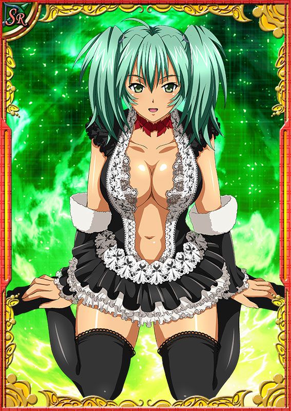 Ikkitousen Cards Coleccyion  Ryofu Housen set 351