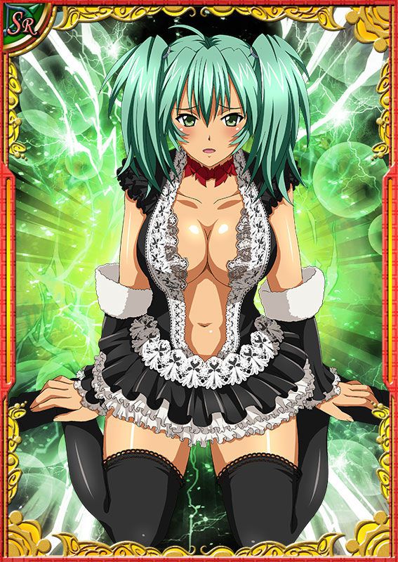 Ikkitousen Cards Coleccyion  Ryofu Housen set 352